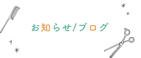 お知らせ・ブログ